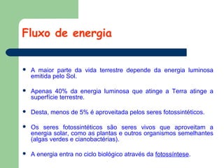 Fluxo de energia


A maior parte da vida terrestre depende da energia luminosa
emitida pelo Sol.



Apenas 40% da energia luminosa que atinge a Terra atinge a
superfície terrestre.



Desta, menos de 5% é aproveitada pelos seres fotossintéticos.



Os seres fotossintéticos são seres vivos que aproveitam a
energia solar, como as plantas e outros organismos semelhantes
(algas verdes e cianobactérias).



A energia entra no ciclo biológico através da fotossíntese.

 