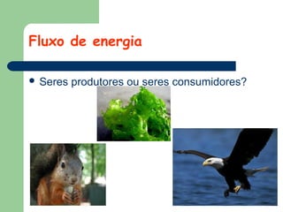 Fluxo de energia
 Seres

produtores ou seres consumidores?

 