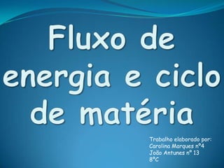 Fluxo de energia e ciclo de matéria Trabalho elaborado por: Carolina Marques nº4 João Antunes nº 13 8ºC 