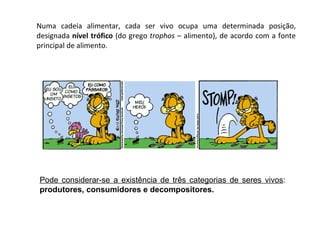 Numa cadeia alimentar, cada ser vivo ocupa uma determinada posição, designada  nível trófico  (do grego  trophos  – alimento), de acordo com a fonte principal de alimento.  Pode considerar-se a existência de três categorias de seres vivos :  produtores, consumidores e decompositores.  