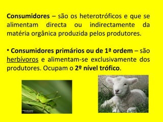 Consumidores  – são os heterotróficos e que se alimentam directa ou indirectamente da matéria orgânica produzida pelos produtores.  Consumidores primários ou de 1ª ordem  – são  herbívoros  e alimentam-se exclusivamente dos produtores. Ocupam o  2º nível trófico .  