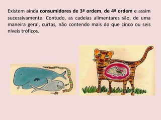 Existem ainda  consumidores de 3ª ordem ,  de 4ª ordem  e assim sucessivamente. Contudo, as cadeias alimentares são, de uma maneira geral, curtas, não contendo mais do que cinco ou seis níveis tróficos.  