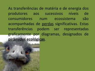 As transferências de matéria e de energia dos produtores aos sucessivos níveis de consumidores num ecossistema são acompanhadas de  perdas  significativas. Estas transferências podem ser representadas graficamente por diagramas, designados de  pirâmides ecológicas .  