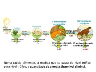 Numa cadeia alimentar, à medida que se passa de nível trófico para nível trófico, a  quantidade de energia disponível diminui .  