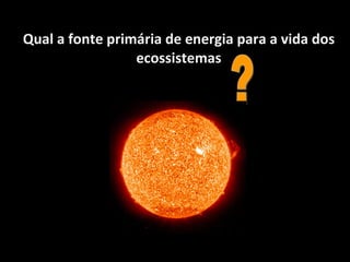 Qual a fonte primária de energia para a vida dos ecossistemas ? 