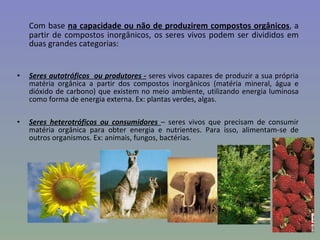 Com base  na capacidade ou não de produzirem compostos orgânicos , a partir de compostos inorgânicos, os seres vivos podem ser divididos em duas grandes categorias: Seres autotróficos  ou produtores -  seres vivos capazes de produzir a sua própria matéria orgânica a partir dos compostos inorgânicos (matéria mineral, água e dióxido de carbono) que existem no meio ambiente, utilizando energia luminosa como forma de energia externa. Ex: plantas verdes, algas. Seres heterotróficos ou consumidores  – seres vivos que precisam de consumir matéria orgânica para obter energia e nutrientes. Para isso, alimentam-se de outros organismos. Ex: animais, fungos, bactérias.  