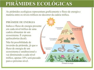 PIRÂMIDES ECOLÓGICAS
As pirâmides ecológicas representam graficamente o fluxo de energia e
matéria entre os níveis tróficos no decorrer da cadeia trófica.
PIRÂMIDE DE ENERGIA
Indica o fluxo de energia presente
em cada nível trófico de uma
cadeia alimentar de um
ecossistema. É expressa
quilocalorias (kcal).
Não há possibilidade de
inversão da pirâmide, já que o
fluxo de energia de um
ecossistema é unidirecional e
vai diminuindo a cada nível
trófico, apenas 10% será passado
para o próximo nível.
 