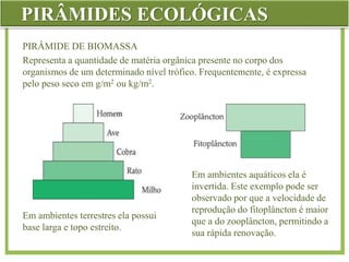 PIRÂMIDES ECOLÓGICAS
PIRÂMIDE DE BIOMASSA
Representa a quantidade de matéria orgânica presente no corpo dos
organismos de um determinado nível trófico. Frequentemente, é expressa
pelo peso seco em g/m2 ou kg/m2.
Em ambientes terrestres ela possui
base larga e topo estreito.
Em ambientes aquáticos ela é
invertida. Este exemplo pode ser
observado por que a velocidade de
reprodução do fitoplâncton é maior
que a do zooplâncton, permitindo a
sua rápida renovação.
 