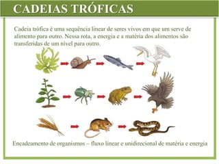 CADEIAS TRÓFICAS
Cadeia trófica é uma sequência linear de seres vivos em que um serve de
alimento para outro. Nessa rota, a energia e a matéria dos alimentos são
transferidas de um nível para outro.
Encadeamento de organismos – fluxo linear e unidirecional de matéria e energia
 