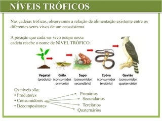 NÍVEIS TRÓFICOS
Nas cadeias tróficas, observamos a relação de alimentação existente entre os
diferentes seres vivos de um ecossistema.
A posição que cada ser vivo ocupa nessa
cadeia recebe o nome de NÍVEL TRÓFICO.
Os níveis são:
• Produtores
• Consumidores
• Decompositores
Primários
Secundários
Terciários
Quaternários
 