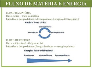 FLUXO DE MATÉRIA E ENERGIA
FLUXO DE ENERGIA
Fluxo unidirecional - Origem no Sol
Importância dos produtores (Energia luminosa → energia química)
FLUXO DA MATÉRIA
Fluxo cíclico – Ciclo da matéria
Importância dos produtores e decompositores (inorgânico orgânico)
 