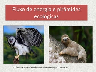 Fluxo de energia e pirâmides
ecológicas
Professora Silvana Sanches Botelho – Ecologia 1 ano E.M.
 
