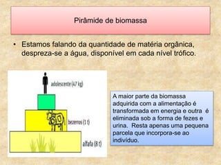 • Estamos falando da quantidade de matéria orgânica,
despreza-se a água, disponível em cada nível trófico.
Pirâmide de biomassa
A maior parte da biomassa
adquirida com a alimentação é
transformada em energia e outra é
eliminada sob a forma de fezes e
urina. Resta apenas uma pequena
parcela que incorpora-se ao
indivíduo.
 