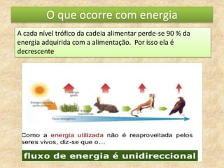 O que ocorre com energia
A cada nível trófico da cadeia alimentar perde-se 90 % da
energia adquirida com a alimentação. Por isso ela é
decrescente
 