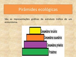 Pirâmides ecológicas
São as representações gráficas da estrutura trófica de um
ecossistema.
 