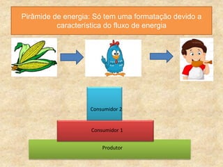 Pirâmide de energia: Só tem uma formatação devido a
característica do fluxo de energia
Consumidor 2
Consumidor 1
Produtor
 