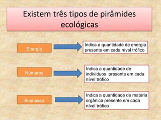 Existem três tipos de pirâmides
ecológicas
Energia
Indica a quantidade de energia
presente em cada nível trófico
Indica a quantidade de
indivíduos presente em cada
nível trófico
Indica a quantidade de matéria
orgânica presente em cada
nível trófico
Números
Biomassa
 