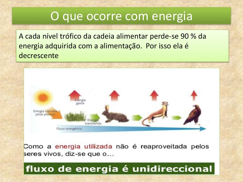 Em Relação Ao Fluxo De Energia Na Biosfera Considere Que