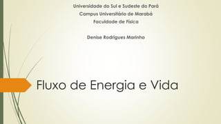 Fluxo de Energia e Vida
Universidade do Sul e Sudeste do Pará
Campus Universitário de Marabá
Faculdade de Física
Denise Rodrigues Marinho
 