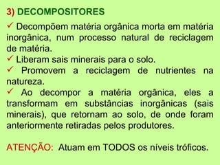 3) DECOMPOSITORES
 Decompõem matéria orgânica morta em matéria
inorgânica, num processo natural de reciclagem
de matéria.
 Liberam sais minerais para o solo.
 Promovem a reciclagem de nutrientes na
natureza.
 Ao decompor a matéria orgânica, eles a
transformam em substâncias inorgânicas (sais
minerais), que retornam ao solo, de onde foram
anteriormente retiradas pelos produtores.

ATENÇÃO: Atuam em TODOS os níveis tróficos.
 