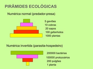 PIRÂMIDES ECOLÓGICAS
 Numérica normal (predador-presa)

                           5 gaviões
                           10 cobras
                            20 sapos
                            100 gafanhotos
                            1000 plantas


Numérica invertida (parasita-hospedeiro)

                            200000 bactérias
                            100000 protozoários
                             200 pulgões
                             1 planta
 