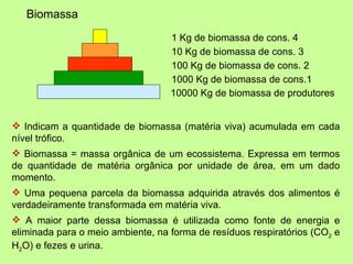 Biomassa
                                   1 Kg de biomassa de cons. 4
                                   10 Kg de biomassa de cons. 3
                                   100 Kg de biomassa de cons. 2
                                   1000 Kg de biomassa de cons.1
                                   10000 Kg de biomassa de produtores


 Indicam a quantidade de biomassa (matéria viva) acumulada em cada
nível trófico.
 Biomassa = massa orgânica de um ecossistema. Expressa em termos
de quantidade de matéria orgânica por unidade de área, em um dado
momento.
 Uma pequena parcela da biomassa adquirida através dos alimentos é
verdadeiramente transformada em matéria viva.
 A maior parte dessa biomassa é utilizada como fonte de energia e
eliminada para o meio ambiente, na forma de resíduos respiratórios (CO2 e
H2O) e fezes e urina.
 
