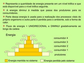  Representa a quantidade de energia presente em um nível trófico e que
está disponível para o nível trófico seguinte.
 A energia diminui à medida que passa dos produtores para os
consumidores.
 Parte dessa energia é usada para a realização dos processos vitais do
próprio organismo e outra parte é perdida para o ambiente, sob a forma de
calor.
 Fluxo de energia = UNIDIRECIONAL e DIMINUI gradativamente ao
longo da cadeia

  Energia
                                               consumidor 4
                                               consumidor 3
                                               consumidor 2
                                               consumidor 1
                                                produtores

     Energia mantida no sistema       Energia perdida pelo sistema
 