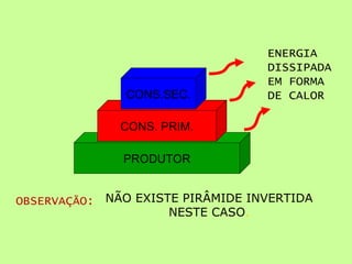 ENERGIA
                                  DISSIPADA
                                  EM FORMA
               CONS.SEC.          DE CALOR

              CONS. PRIM.

              PRODUTOR


OBSERVAÇÃO: NÃO EXISTE PIRÂMIDE INVERTIDA
                     NESTE CASO.
 