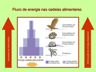 Aumento do nível trófico
                                   Fluxo de energia nas cadeias alimentares




Diminuição da energia disponível
 