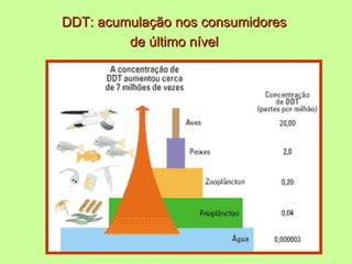 DDT: acumulação nos consumidores
         de último nível
 