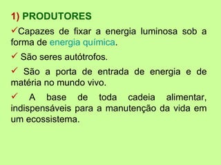 1) PRODUTORES
Capazes de fixar a energia luminosa sob a
forma de energia química.
 São seres autótrofos.
 São a porta de entrada de energia e de
matéria no mundo vivo.
 A base de toda cadeia alimentar,
indispensáveis para a manutenção da vida em
um ecossistema.
 