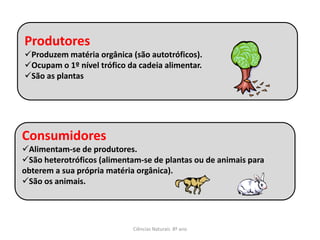 Produtores
Produzem matéria orgânica (são autotróficos).
Ocupam o 1º nível trófico da cadeia alimentar.
São as plantas




Consumidores
Alimentam-se de produtores.
São heterotróficos (alimentam-se de plantas ou de animais para
obterem a sua própria matéria orgânica).
São os animais.




                            Ciências Naturais 8º ano
 