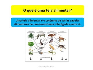 O que é uma teia alimentar?

 Uma teia alimentar é o conjunto de várias cadeias
alimentares de um ecossistema interligadas entre si..




                   Ciências Naturais 8º ano
 