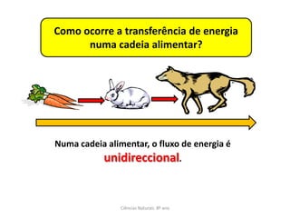 Como ocorre a transferência de energia
      numa cadeia alimentar?




Numa cadeia alimentar, o fluxo de energia é
           unidireccional.


                Ciências Naturais 8º ano
 
