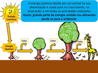 A energia química obtida por um animal na sua
                  alimentação é usada para no crescimento, na
                respiração e em todas as actividades realizadas.
  Energia    Assim, grande parte da energia contida nos alimentos
 Luminosa                  perde-se para o ambiente.




            Calor                      Calor        Calor
Energia
Química




                         Ciências Naturais 8º ano
 