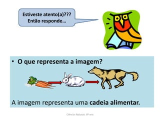 Estiveste atento(a)???
     Então responde…




• O que representa a imagem?




A imagem representa uma cadeia alimentar.
                      Ciências Naturais 8º ano
 