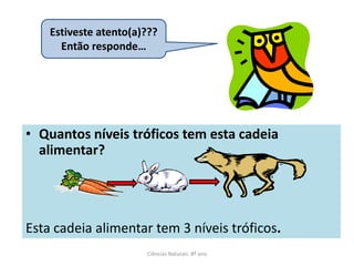 Estiveste atento(a)???
      Então responde…




• Quantos níveis tróficos tem esta cadeia
  alimentar?




Esta cadeia alimentar tem 3 níveis tróficos.
                       Ciências Naturais 8º ano
 