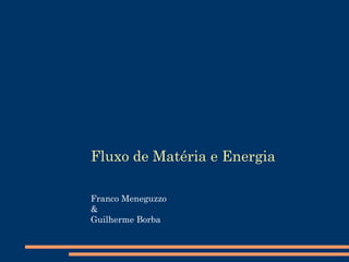 Fluxo de Matéria e Energia Franco Meneguzzo & Guilherme Borba 