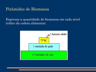 Decompositores São seres que fazem o contrário dos produtores: eles transformam matérias orgânicas em matérias inorgânicas, fazendo com que essa matéria volte ao solo iniciando novamente o ciclo. Os principais decompositores são os fungos e as bactérias. Fungos e  Bactérias 