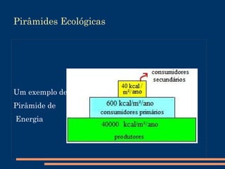 Cadeias Alimentares Resumindo, é como o ciclo da vida, sem essa cadeia nós não existiríamos. Nós comemos carne, que vem do boi (consumidor) o boi se alimenta de plantas (produtor) e assim vai. 