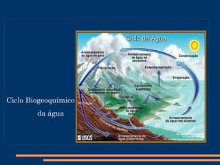 Pirâmides de Energia Expressa a quantidade de energia acumulada em cada nível da cadeia alimentar. Como a energia apresenta um fluxo decrescente, quanto mais distante dos produtores, menor será a quantidade de energia útil recebida. 