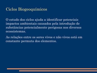 Pirâmides de Biomassa Expressa a quantidade de biomassa em cada nível trófico da cadeia alimentar.  