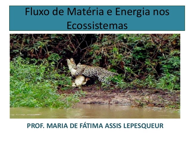Fluxo de Matéria e Energia nos
Ecossistemas
PROF. MARIA DE FÁTIMA ASSIS LEPESQUEUR
 