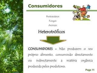 Free Powerpoint Templates
Page 11
Consumidores
Protozoários
Fungos
Animais
IL 2010
CONSUMIDORES - Não produzem o seu
próprio alimento, consumindo directamente
ou indirectamente a matéria orgânica
produzida pelos produtores.
Heterotróficos
 