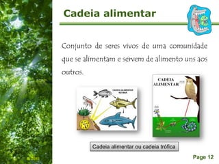 Free Powerpoint Templates
Page 12
Cadeia alimentar
IL 2010
Conjunto de seres vivos de uma comunidade
que se alimentam e servem de alimento uns aos
outros.
Cadeia alimentar ou cadeia trófica
 