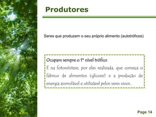 Free Powerpoint Templates
Page 14
Produtores
IL 2010
Seres que produzem o seu próprio alimento (autotróficos)
Ocupam sempre o 1º nível trófico
É na fotossíntese, por eles realizada, que começa o
fabrico de alimentos (glicose) e a produção de
energia assimilável e utilizável pelos seres vivos.
 