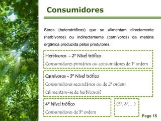 Free Powerpoint Templates
Page 15
Consumidores
IL 2010
Seres (heterotróficos) que se alimentam directamente
(herbívoros) ou indirectamente (carnívoros) da matéria
orgânica produzida pelos produtores.
Herbívoros - 2º Nível trófico
Consumidores primários ou consumidores de 1ª ordem
Carnívoros - 3º Nível trófico
Consumidores secundários ou de 2ª ordem
(alimentam-se de herbívoros)
4º Nível trófico
Consumidores de 3ª ordem
(5º, 6º,…)
 