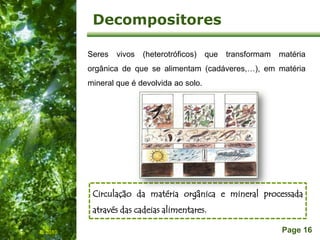 Free Powerpoint Templates
Page 16
Decompositores
IL 2010
Seres vivos (heterotróficos) que transformam matéria
orgânica de que se alimentam (cadáveres,…), em matéria
mineral que é devolvida ao solo.
Circulação da matéria orgânica e mineral processada
através das cadeias alimentares.
 