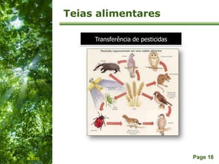 Free Powerpoint Templates
Page 18
Teias alimentares
IL 2010
Transferência de pesticidas
 