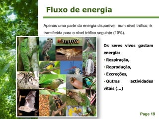 Free Powerpoint Templates
Page 19
Fluxo de energia
IL 2010
Apenas uma parte da energia disponível num nível trófico, é
transferida para o nível trófico seguinte (10%).
Os seres vivos gastam
energia:
• Respiração,
• Reprodução,
• Excreções,
• Outras actividades
vitais (…)
 